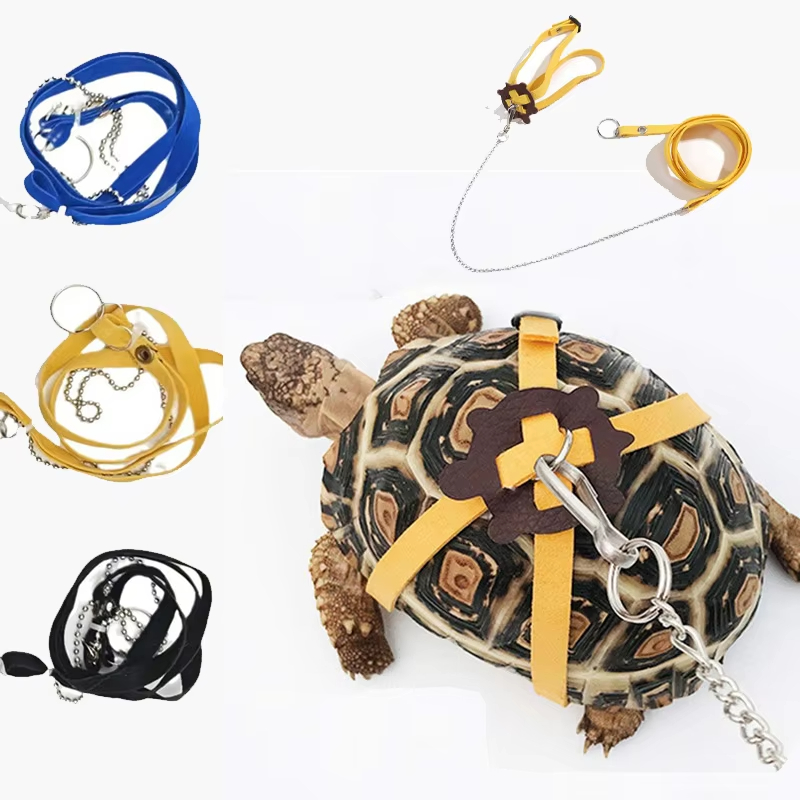 Water Dish Reptile - حزام جر للسلاحف، حبل تحكم، حزام
