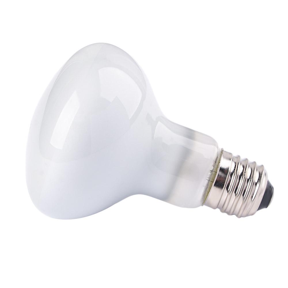 مصباح حراري للزواحف، إضاءة UVA - مراجعة Basking Bulb Halogen وسعره
