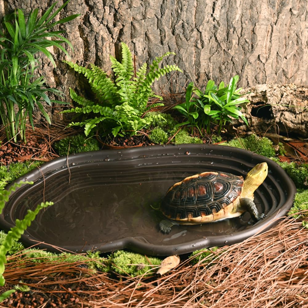 طبق الاستحمام الزواحف البرمائي - مراجعة Water Dish Reptile وسعره
