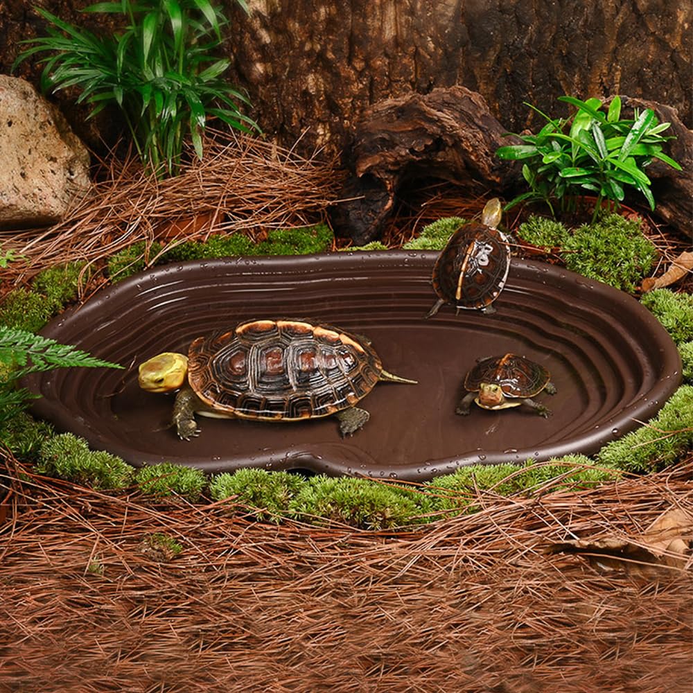 طبق الاستحمام الزواحف البرمائي - مراجعة Water Dish Reptile وسعره
