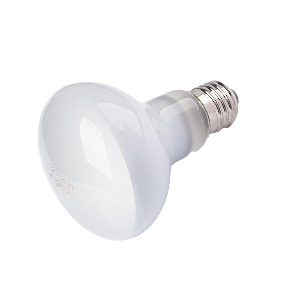 مصباح تدفئة للسلاحف، مصباح تدف - مراجعة Basking Bulb Halogen وسعره