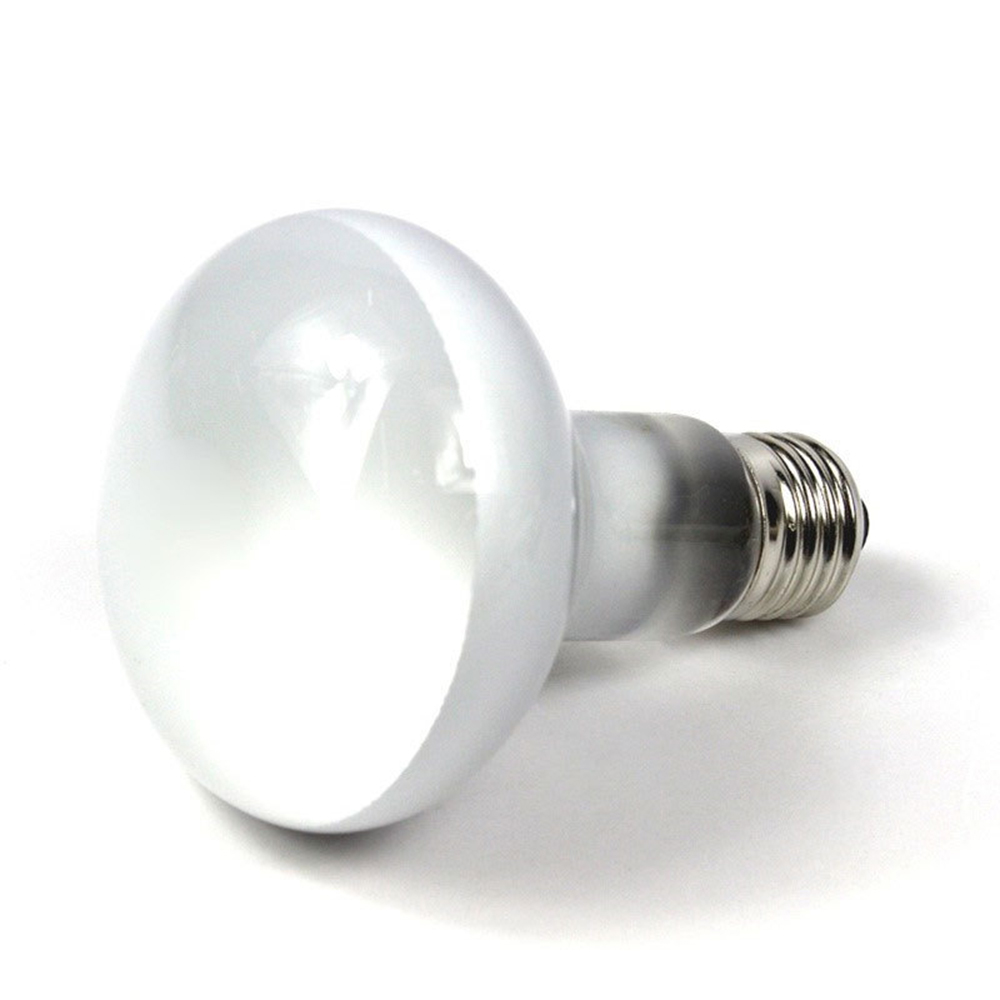 مصباح تدفئة للسلاحف، مصباح تدف - مراجعة Basking Bulb Halogen وسعره